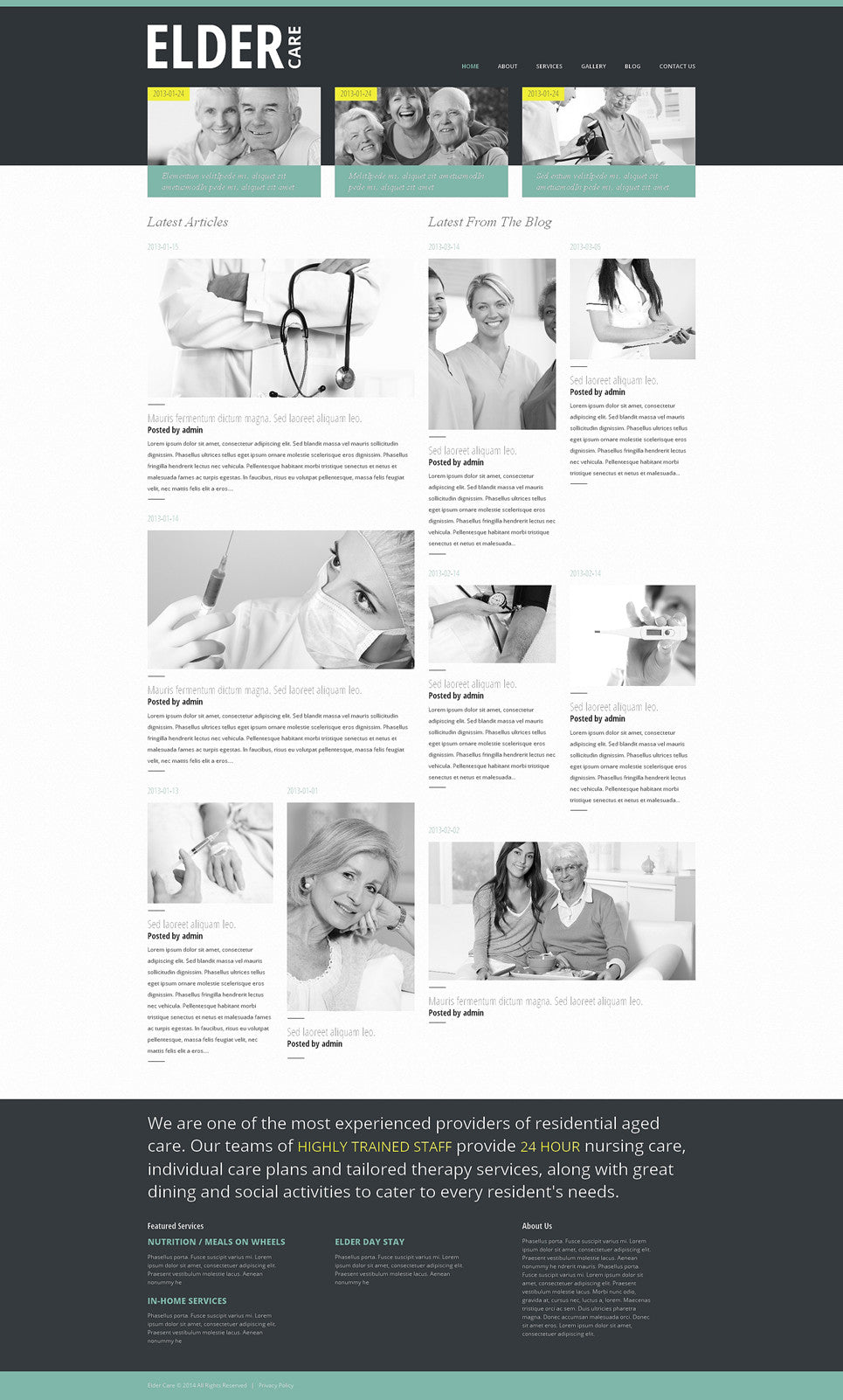 WordPress Themes - GoWebBaby.Com