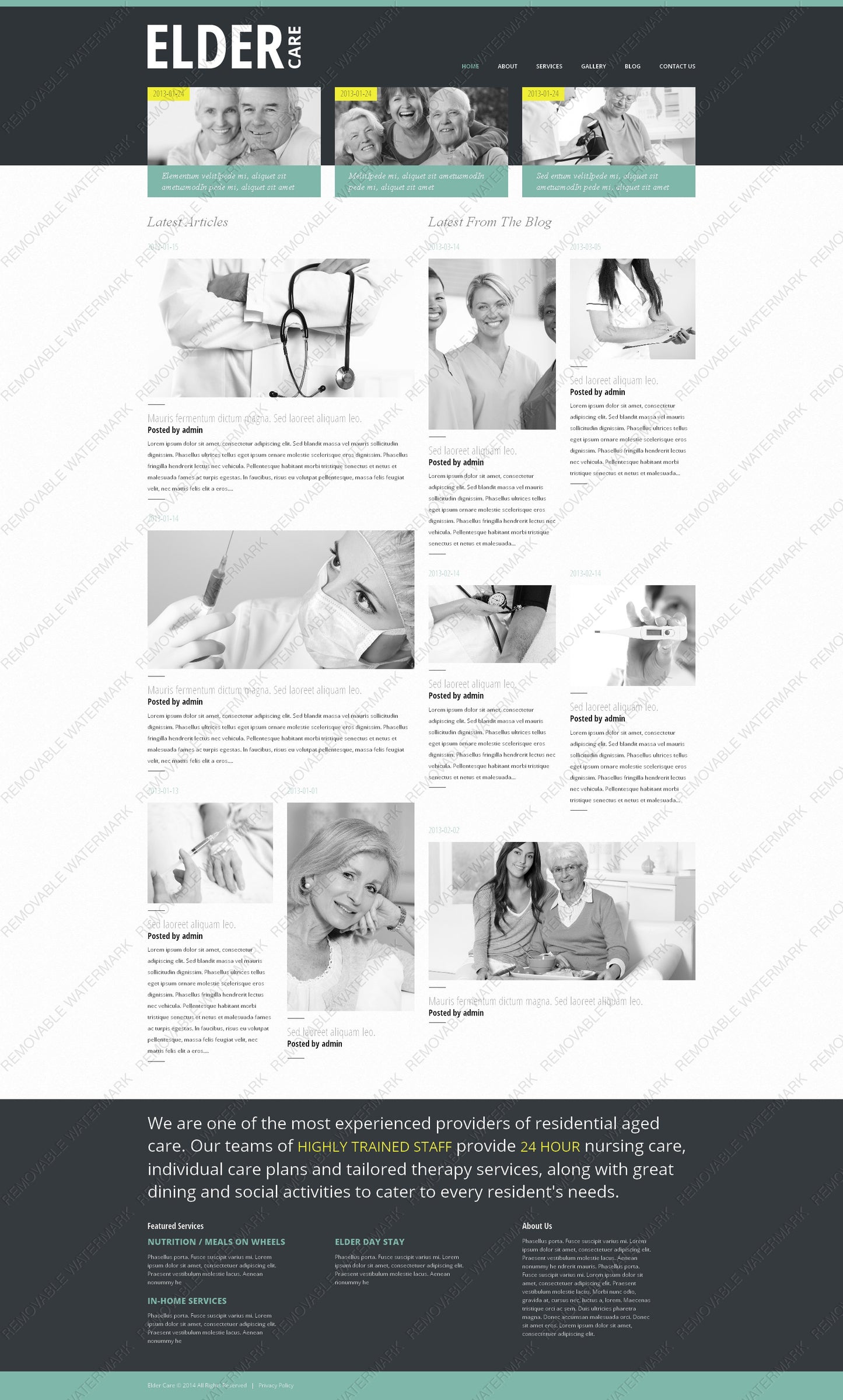 WordPress Themes - GoWebBaby.Com