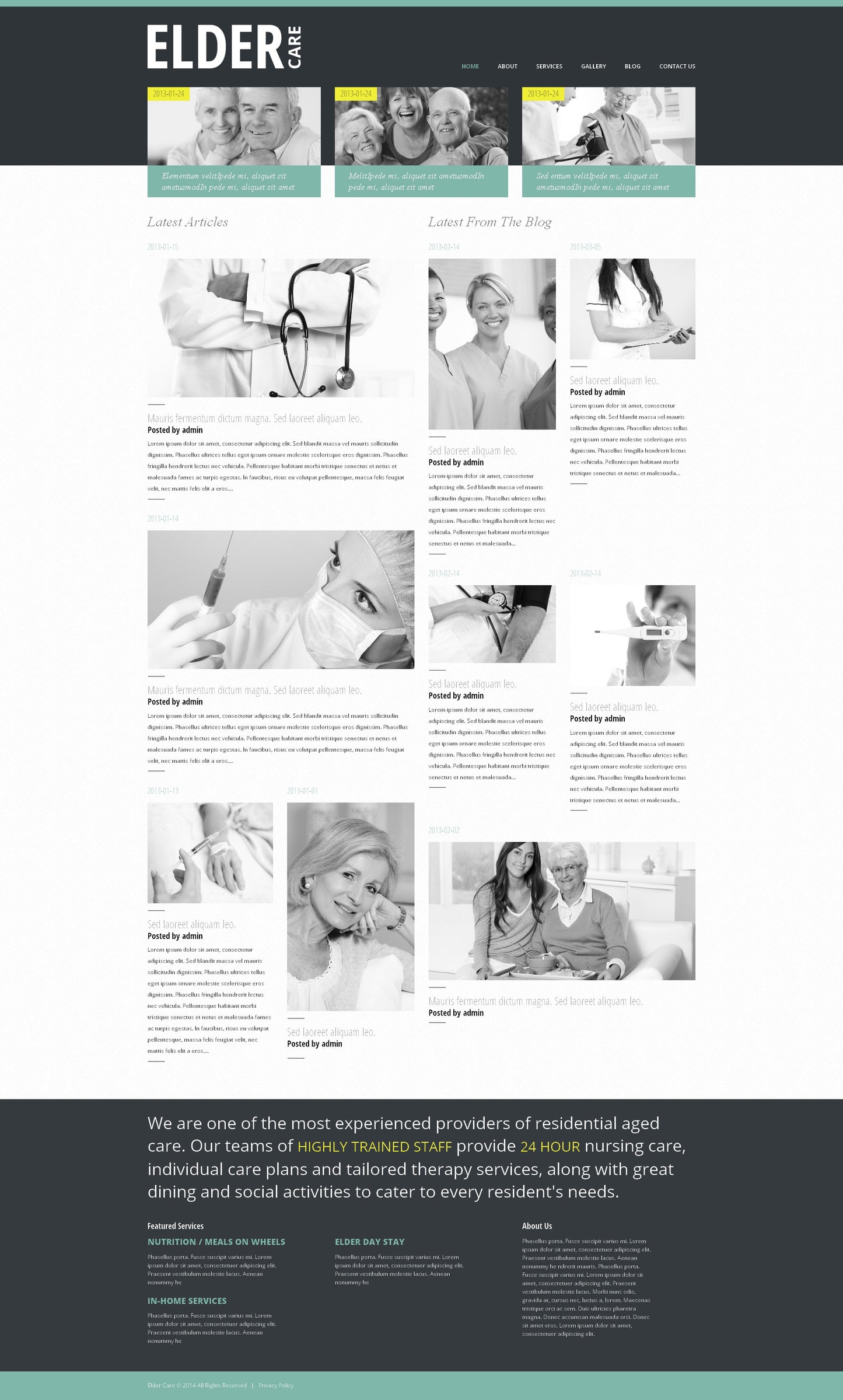 WordPress Themes - GoWebBaby.Com