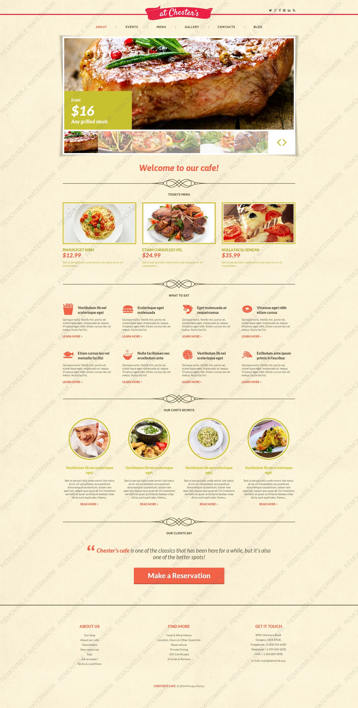 WordPress Themes - GoWebBaby.Com