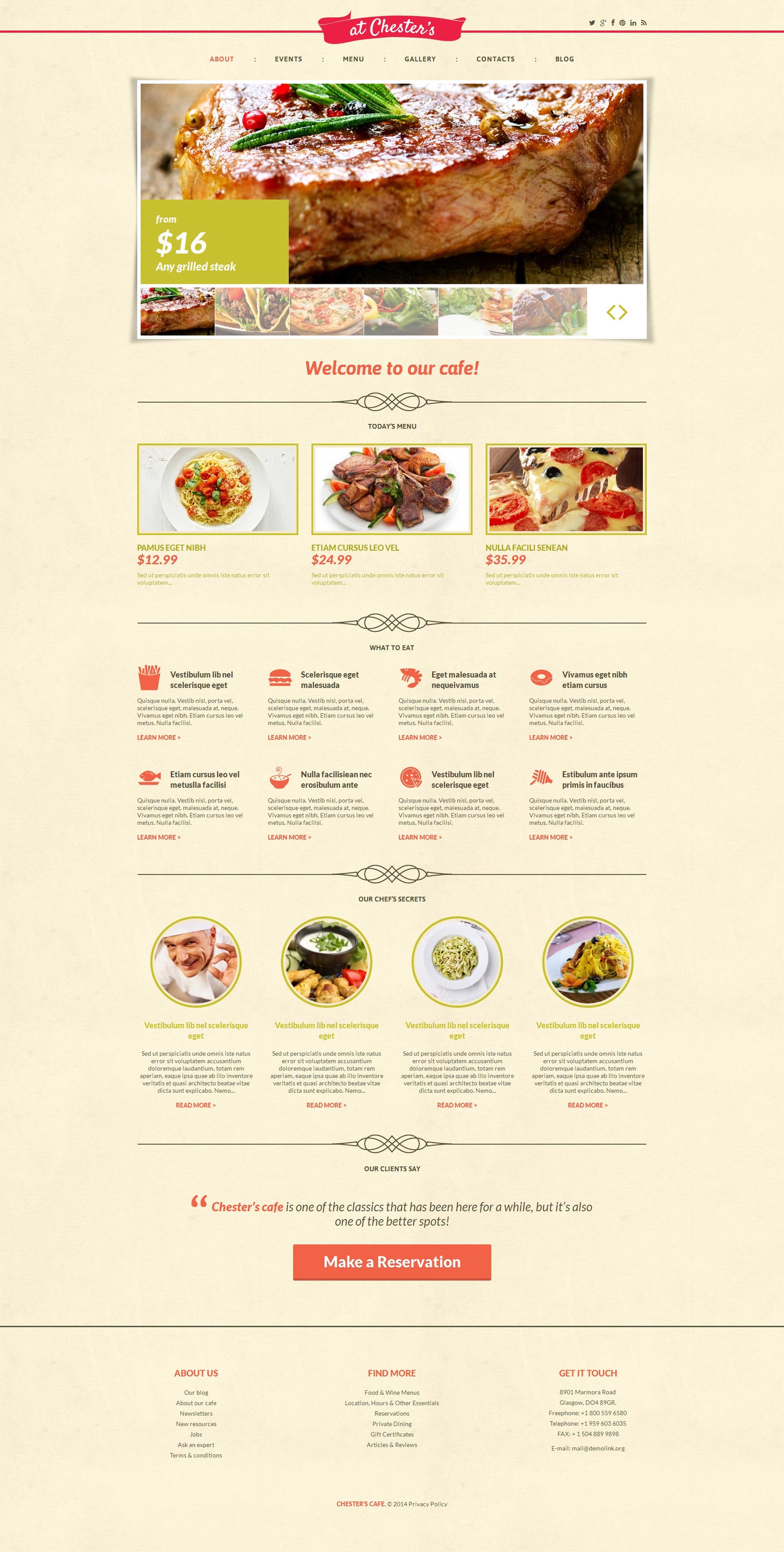 WordPress Themes - GoWebBaby.Com