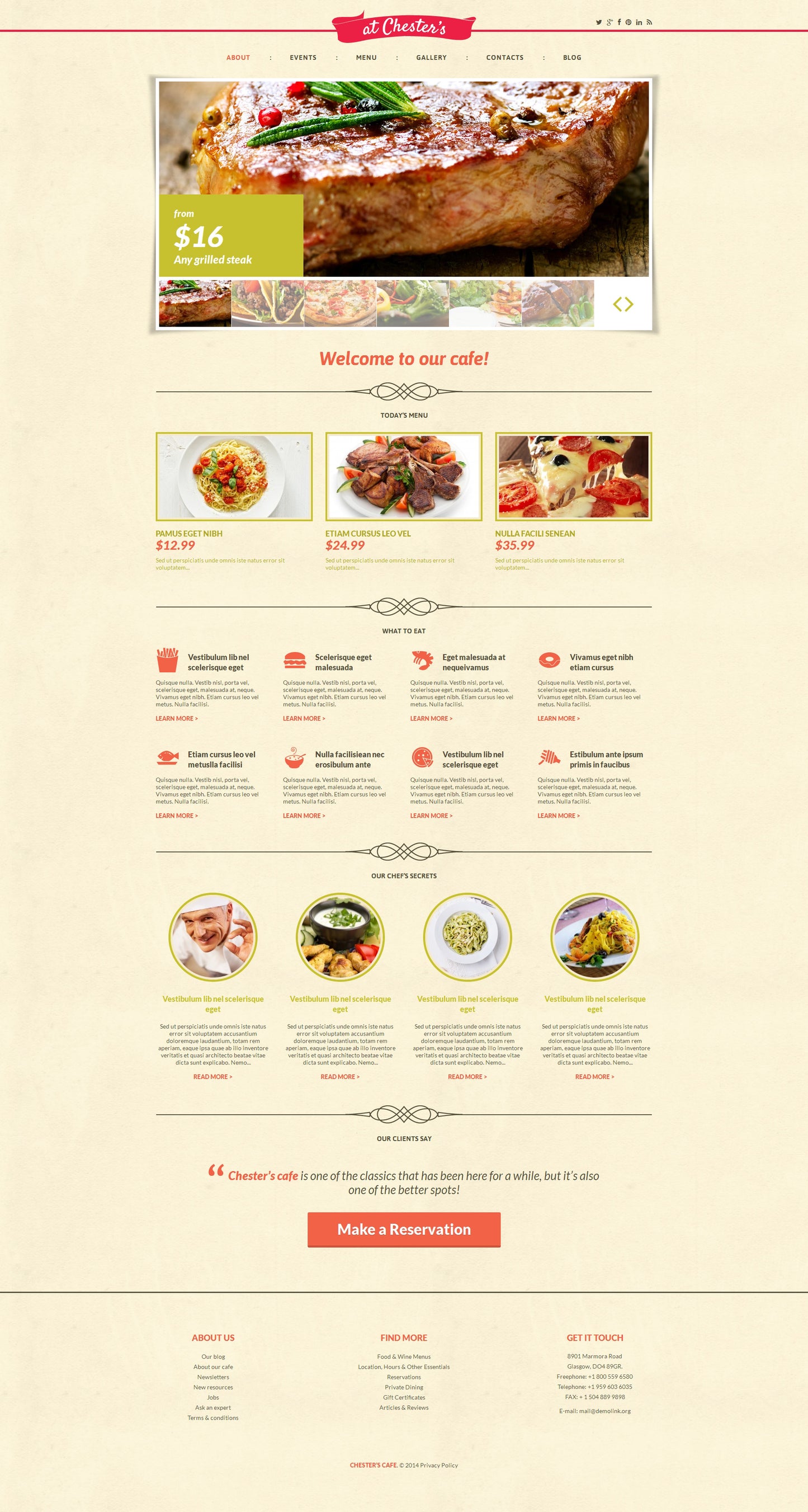WordPress Themes - GoWebBaby.Com