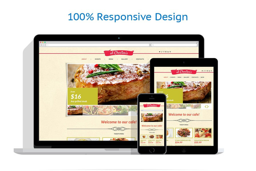 WordPress Themes - GoWebBaby.Com