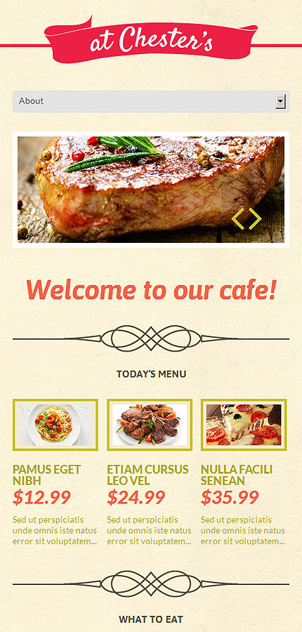 WordPress Themes - GoWebBaby.Com