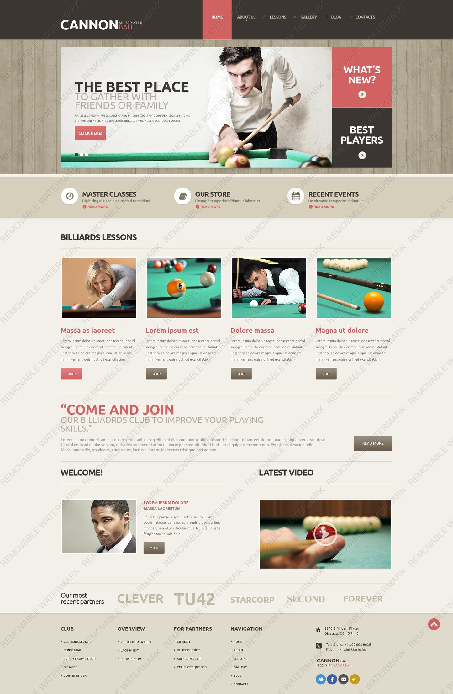 WordPress Themes - GoWebBaby.Com