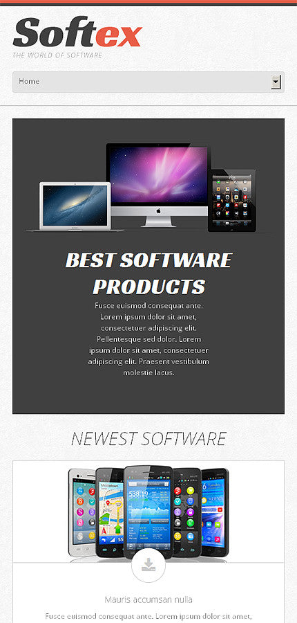 WordPress Themes - GoWebBaby.Com