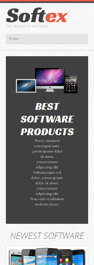 WordPress Themes - GoWebBaby.Com
