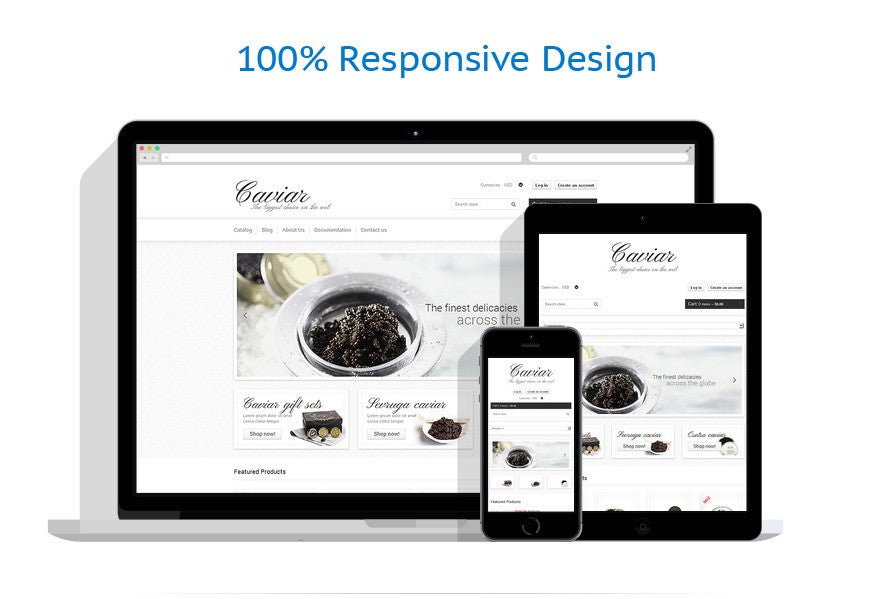 Shopify Themes - GoWebBaby.Com