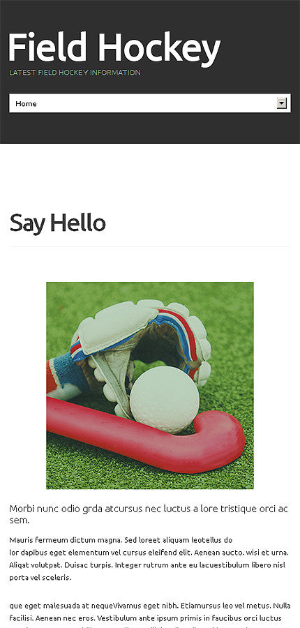 WordPress Themes - GoWebBaby.Com
