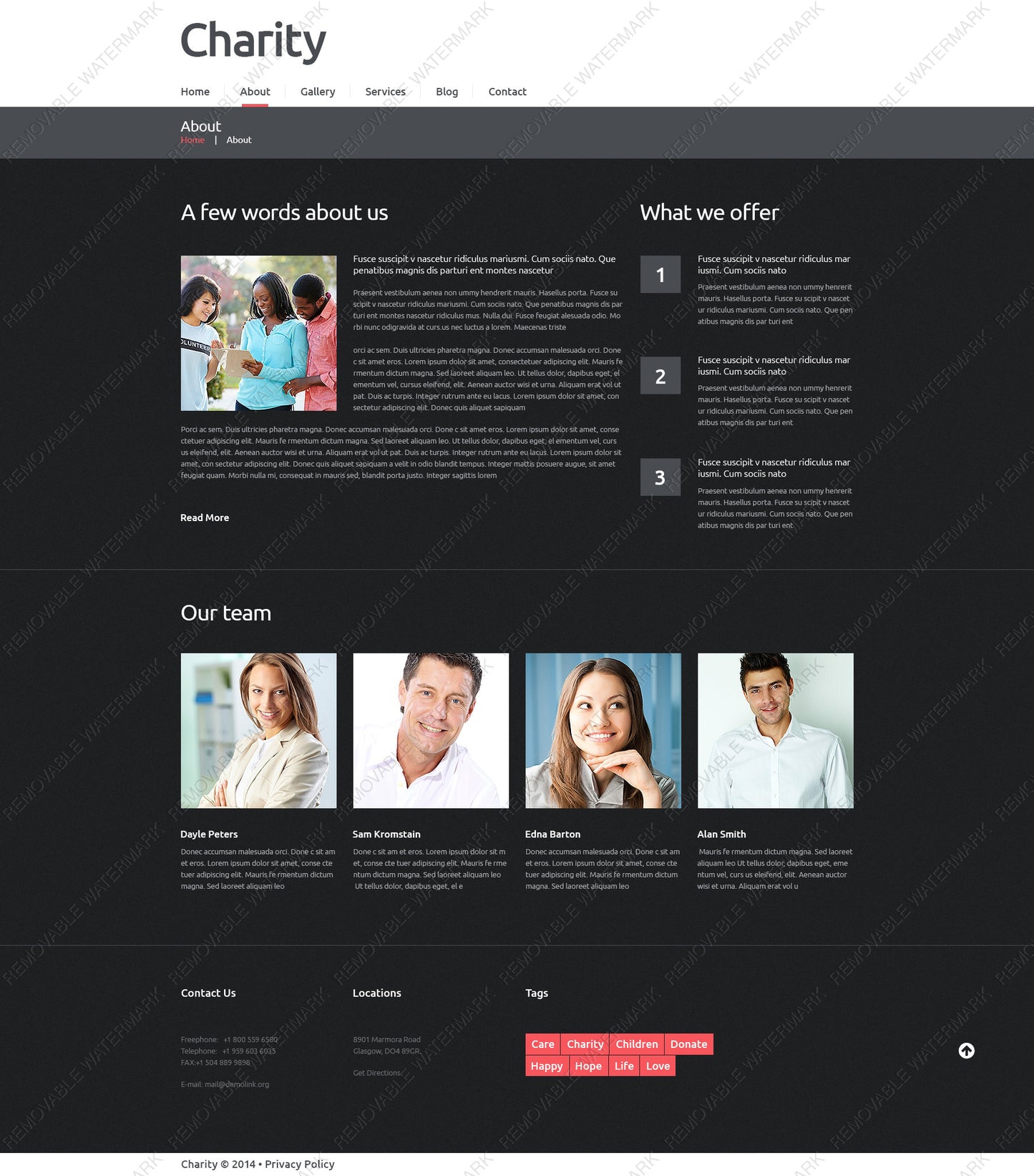 WordPress Themes - GoWebBaby.Com