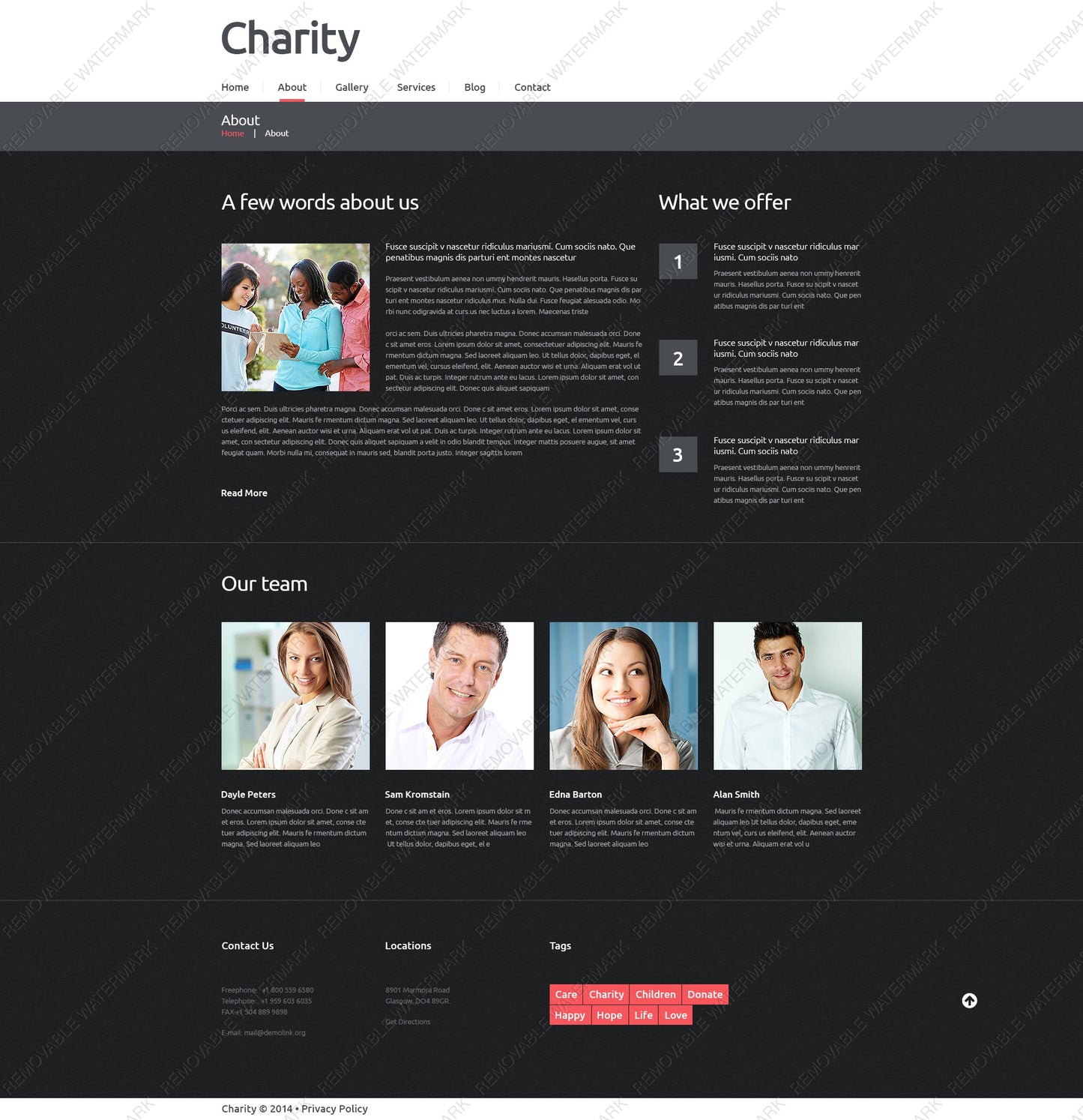 WordPress Themes - GoWebBaby.Com