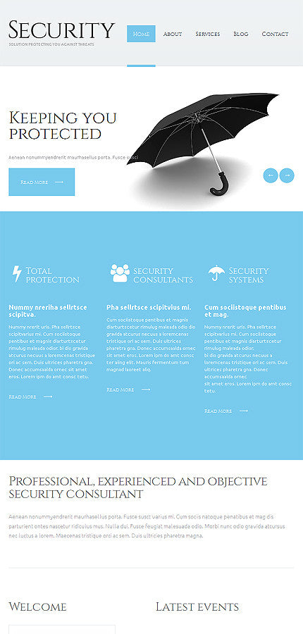 WordPress Themes - GoWebBaby.Com