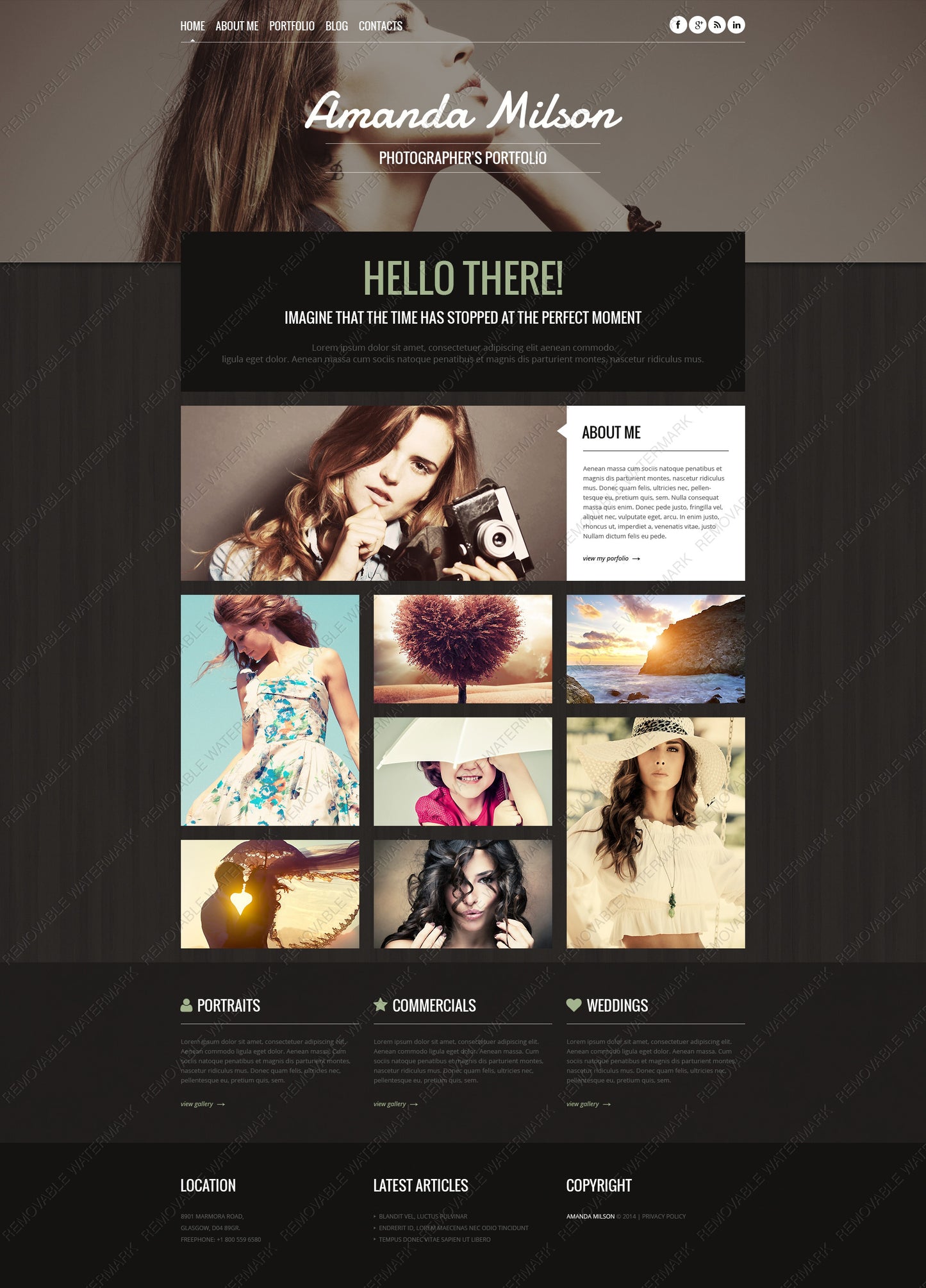 WordPress Themes - GoWebBaby.Com
