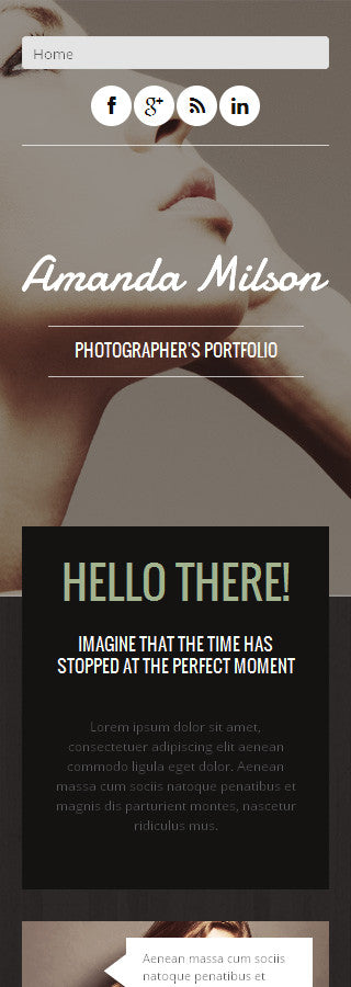 WordPress Themes - GoWebBaby.Com