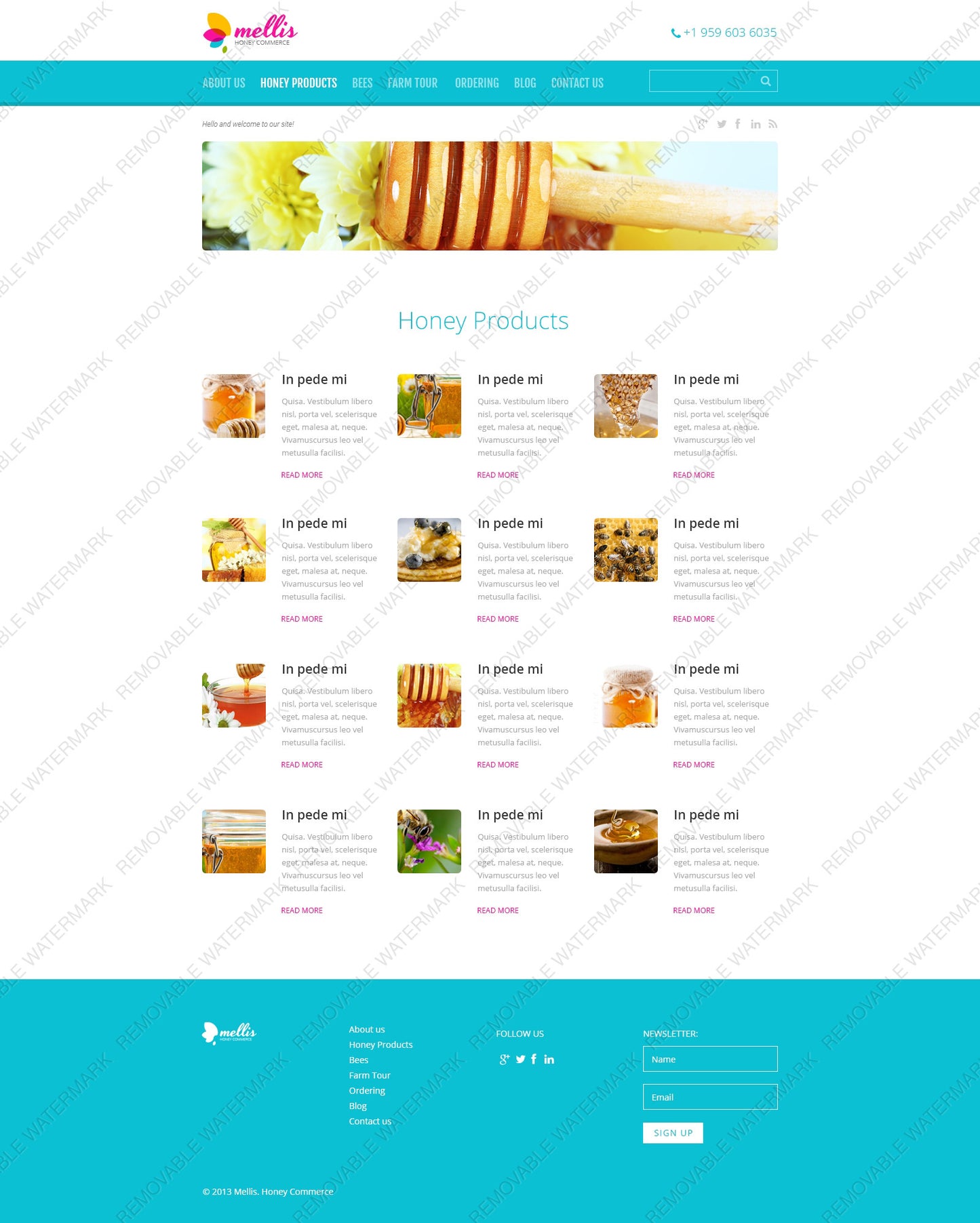 WordPress Themes - GoWebBaby.Com
