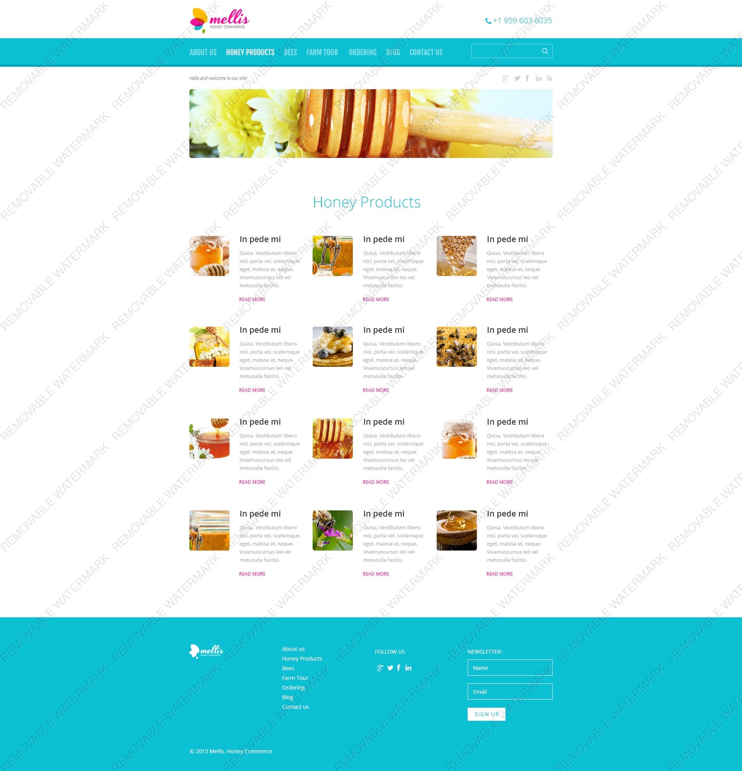 WordPress Themes - GoWebBaby.Com