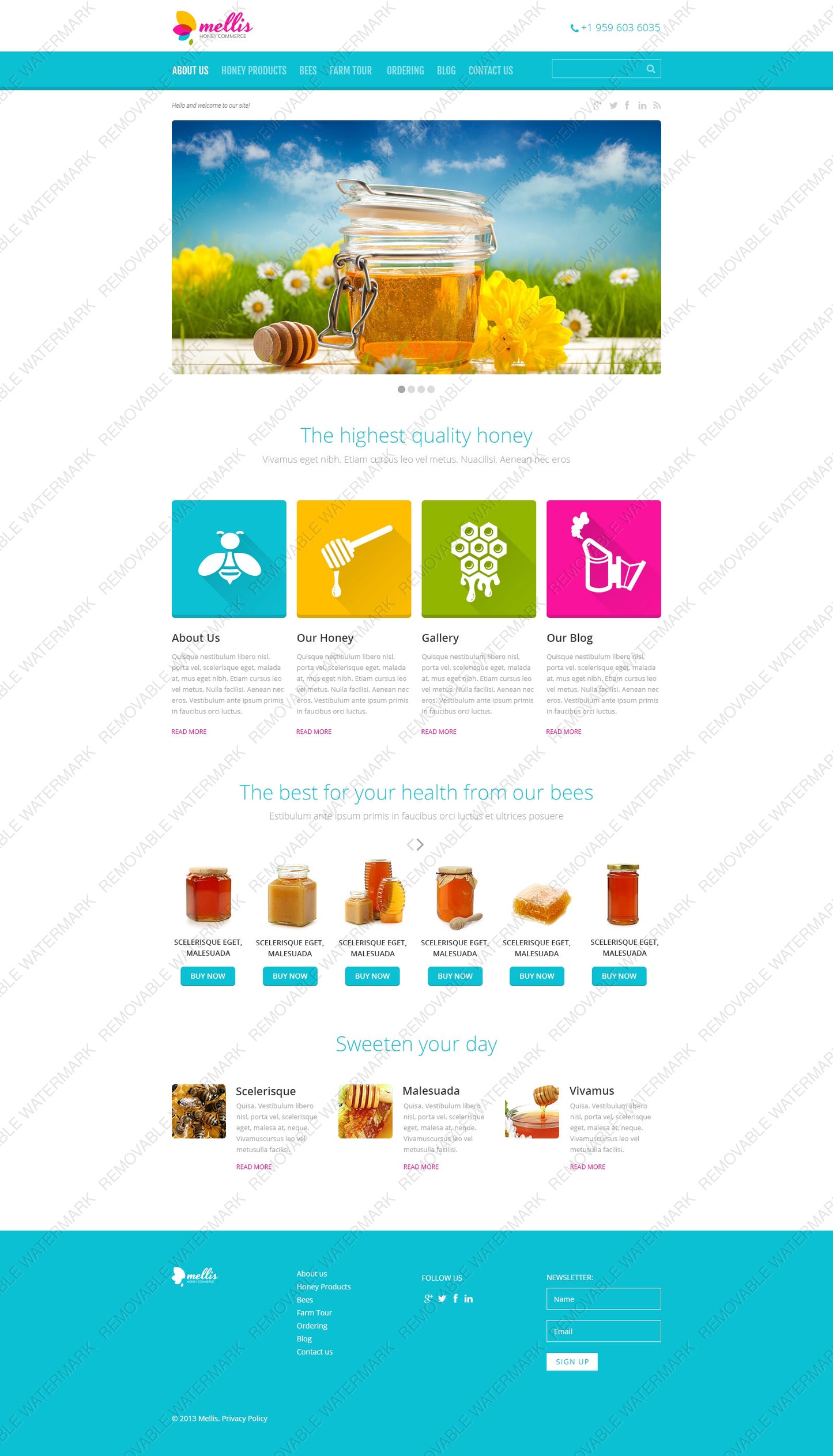 WordPress Themes - GoWebBaby.Com