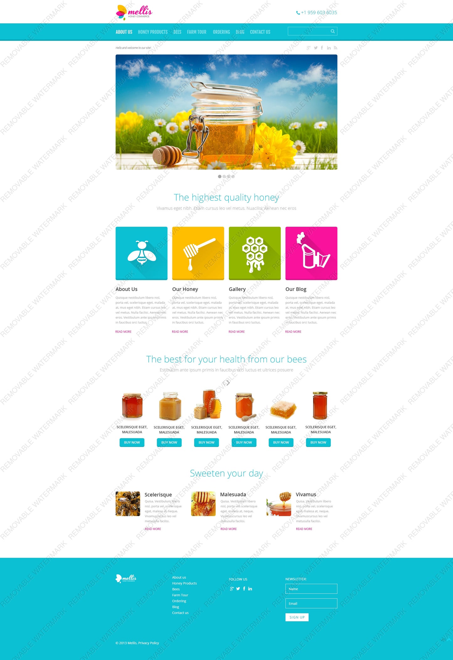 WordPress Themes - GoWebBaby.Com