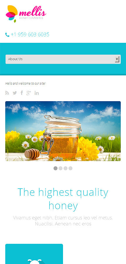 WordPress Themes - GoWebBaby.Com