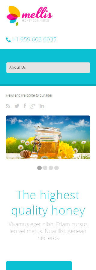 WordPress Themes - GoWebBaby.Com