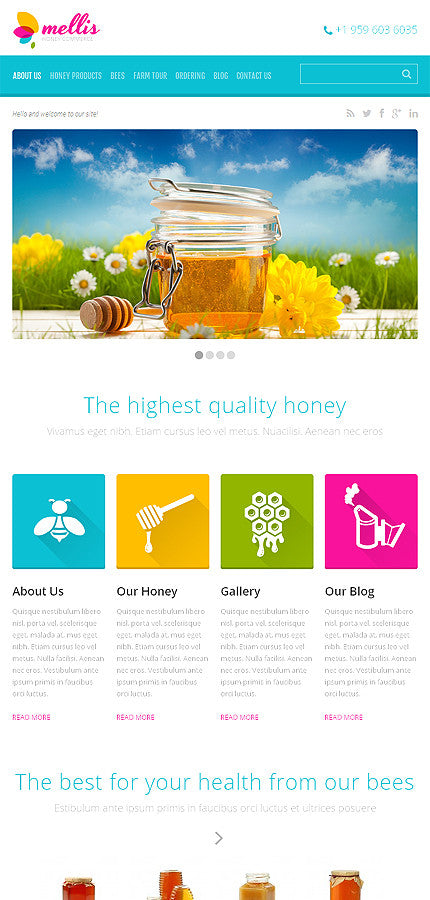 WordPress Themes - GoWebBaby.Com