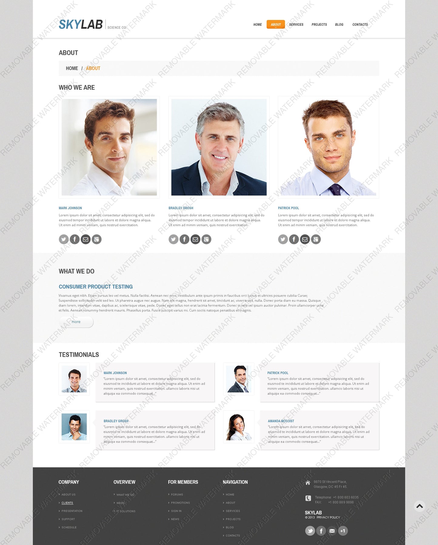 WordPress Themes - GoWebBaby.Com
