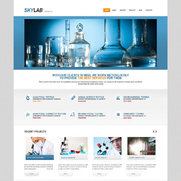 WordPress Themes - GoWebBaby.Com