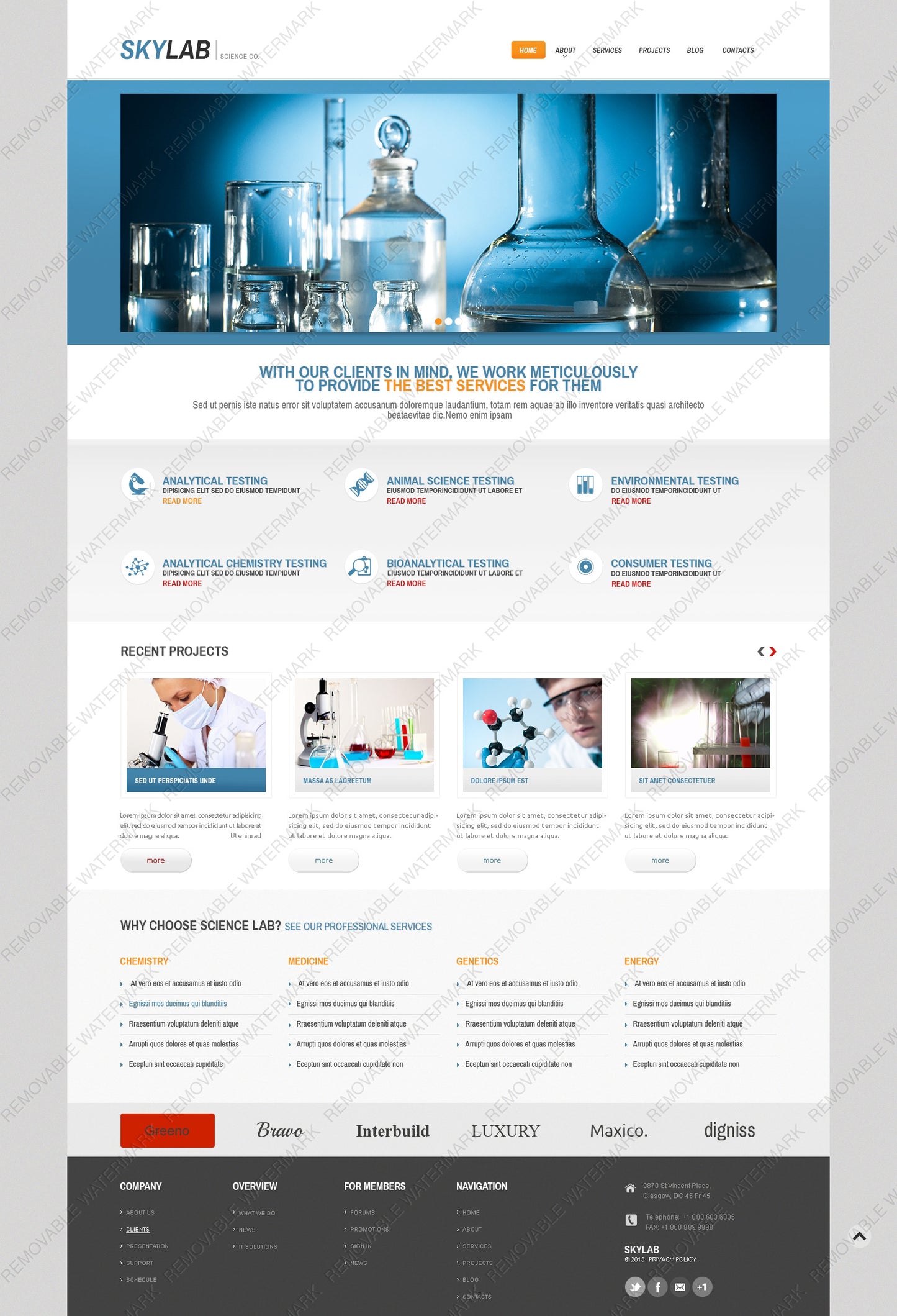 WordPress Themes - GoWebBaby.Com