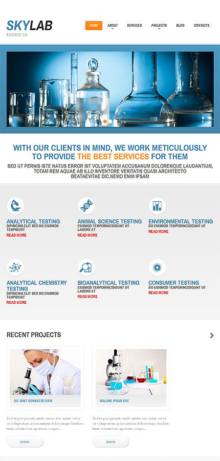 WordPress Themes - GoWebBaby.Com