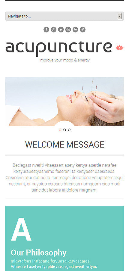 WordPress Themes - GoWebBaby.Com