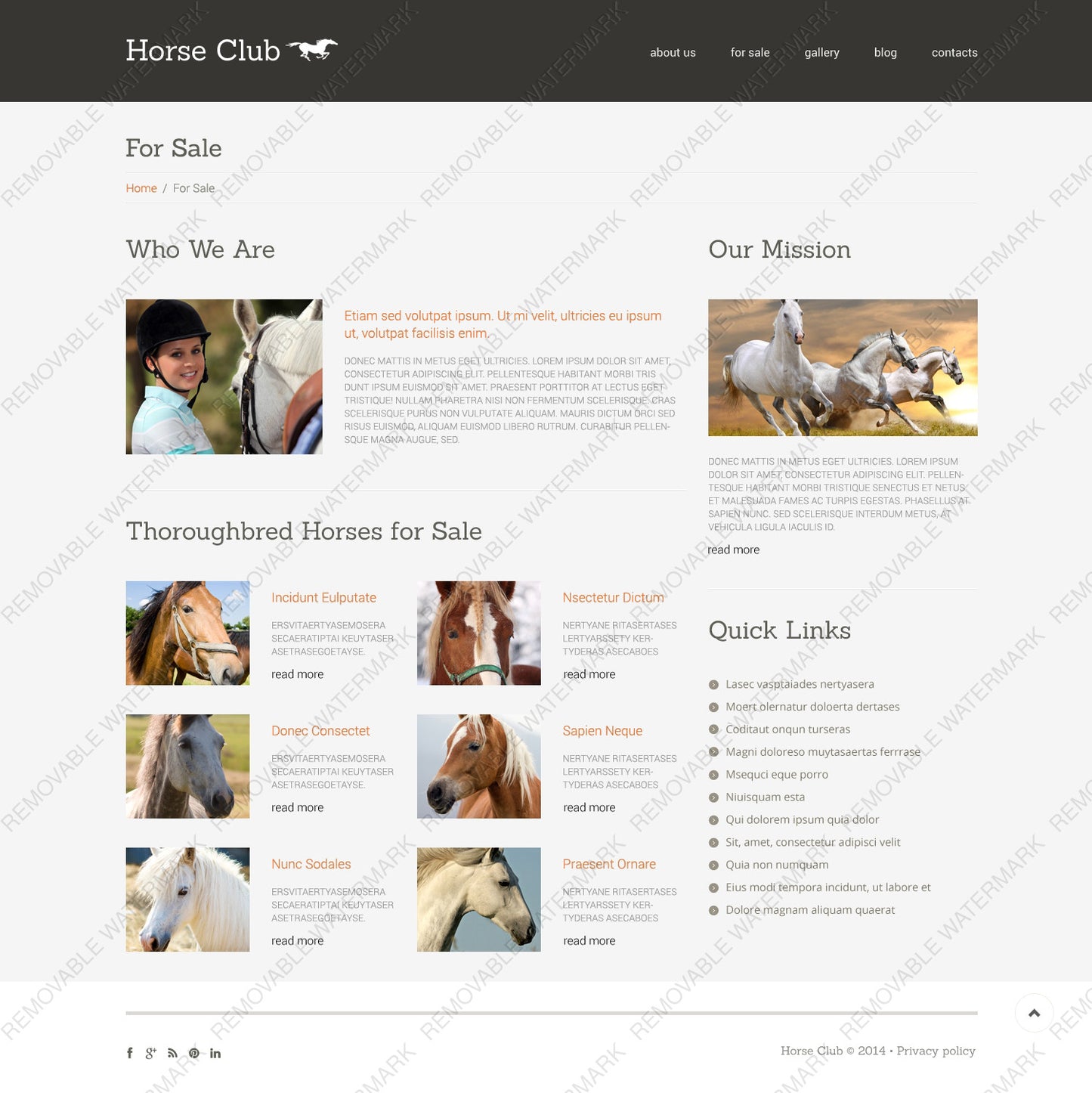 WordPress Themes - GoWebBaby.Com