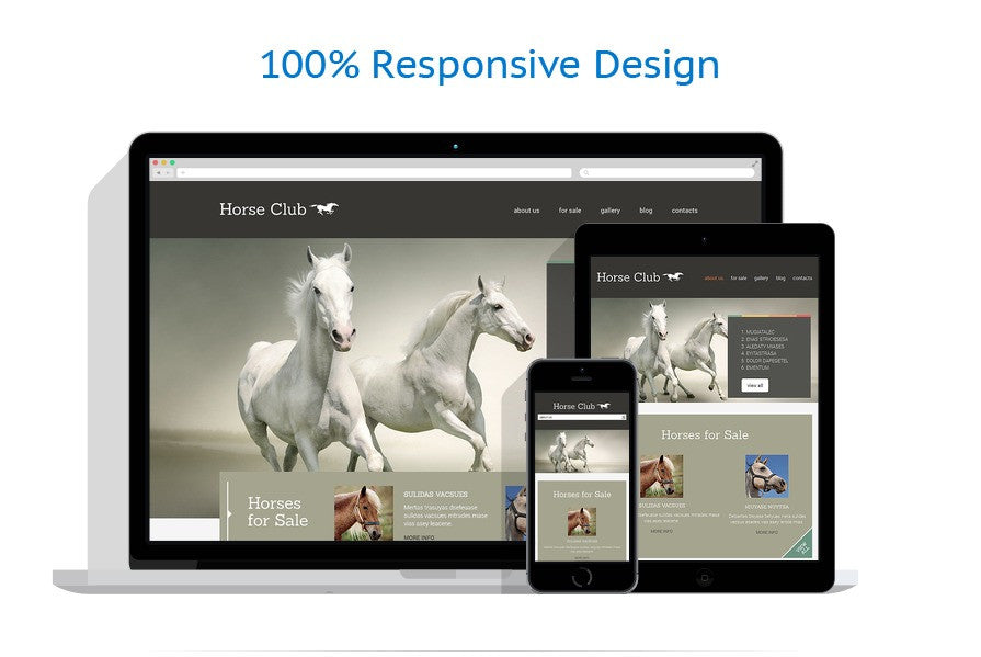WordPress Themes - GoWebBaby.Com