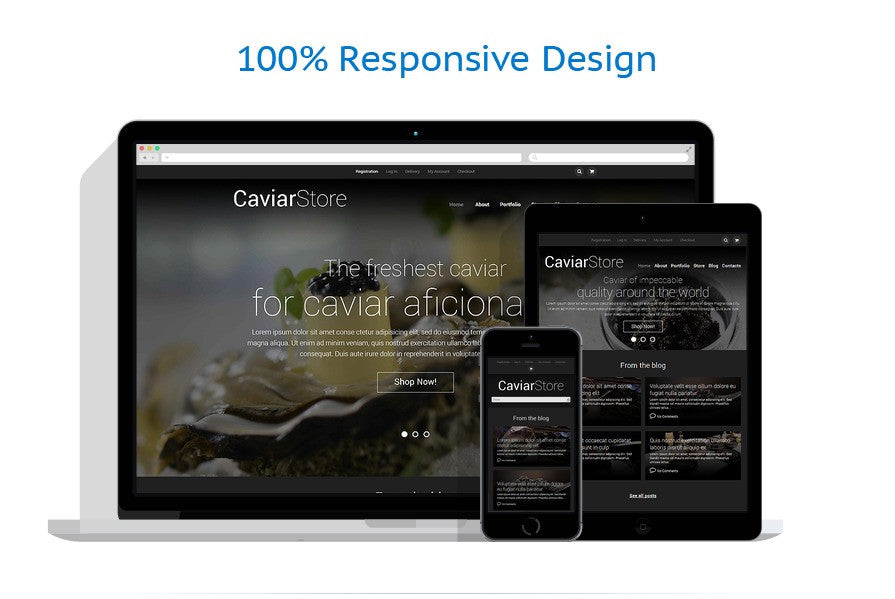 WooCommerce Themes - GoWebBaby.Com