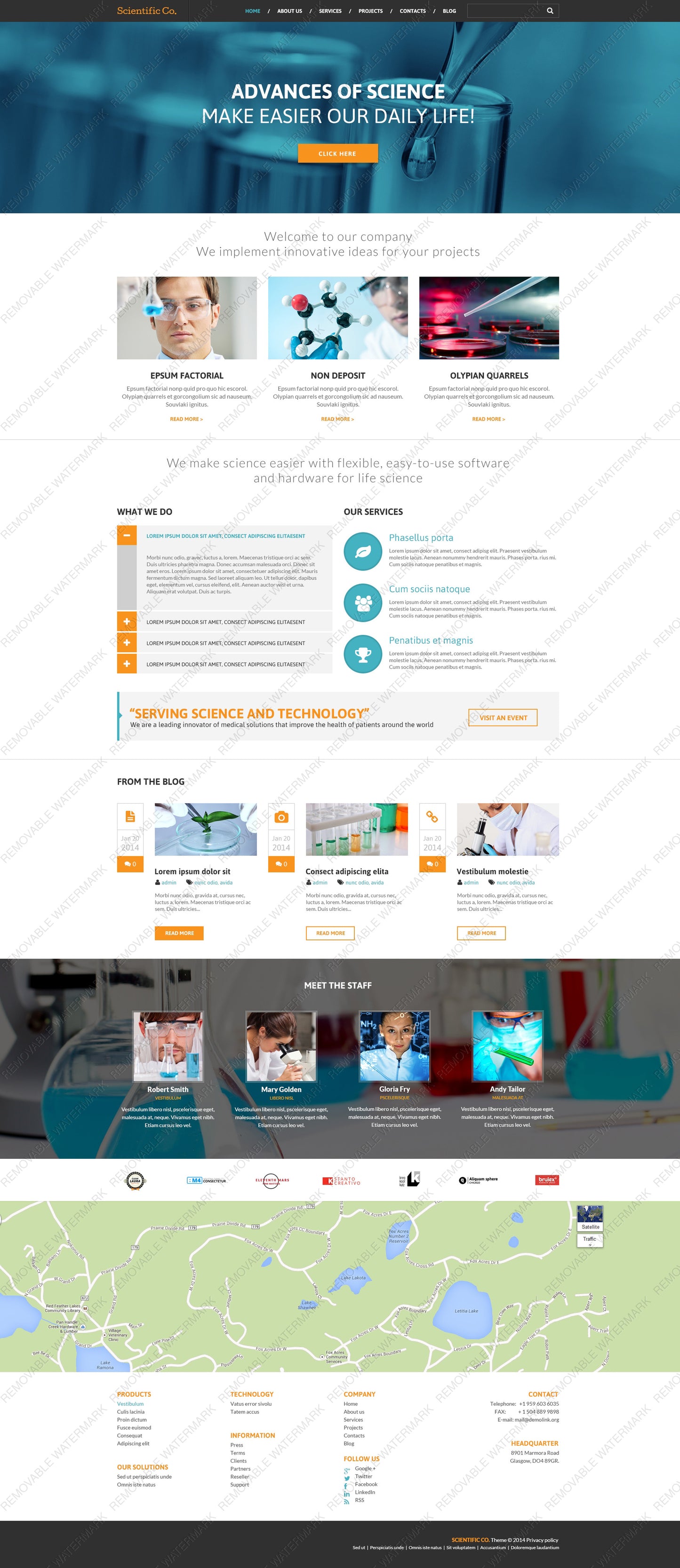 WordPress Themes - GoWebBaby.Com