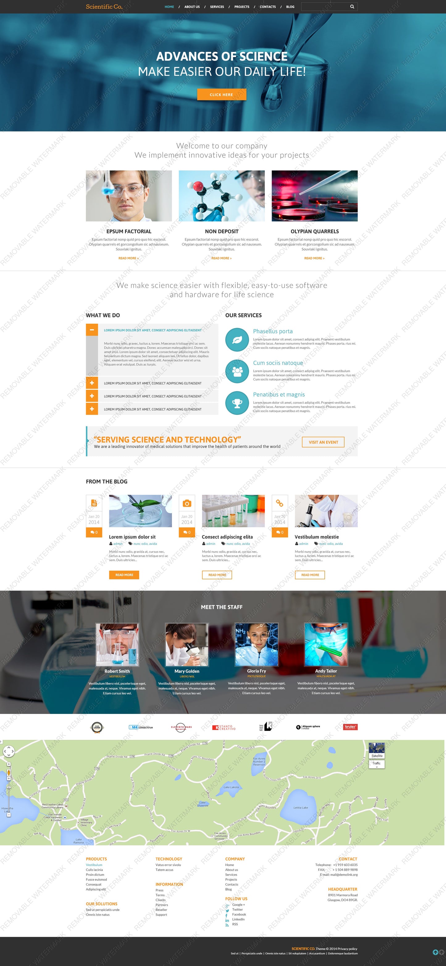WordPress Themes - GoWebBaby.Com