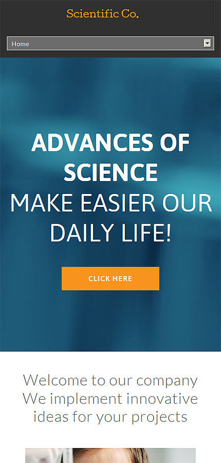 WordPress Themes - GoWebBaby.Com