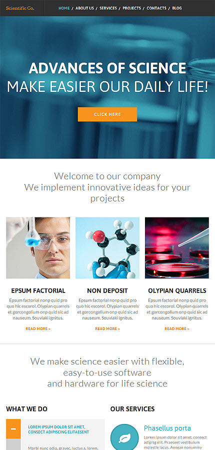 WordPress Themes - GoWebBaby.Com