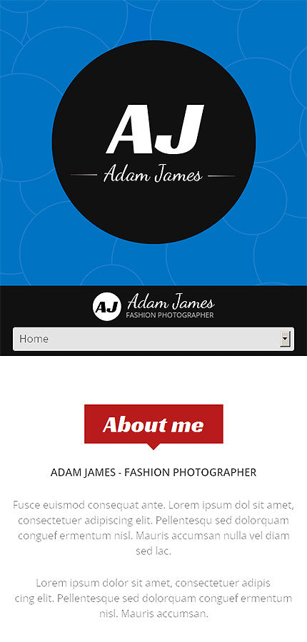 WordPress Themes - GoWebBaby.Com