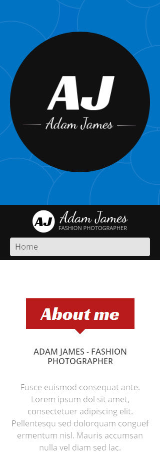 WordPress Themes - GoWebBaby.Com