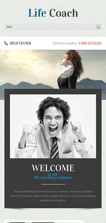 WordPress Themes - GoWebBaby.Com