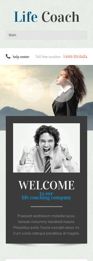 WordPress Themes - GoWebBaby.Com