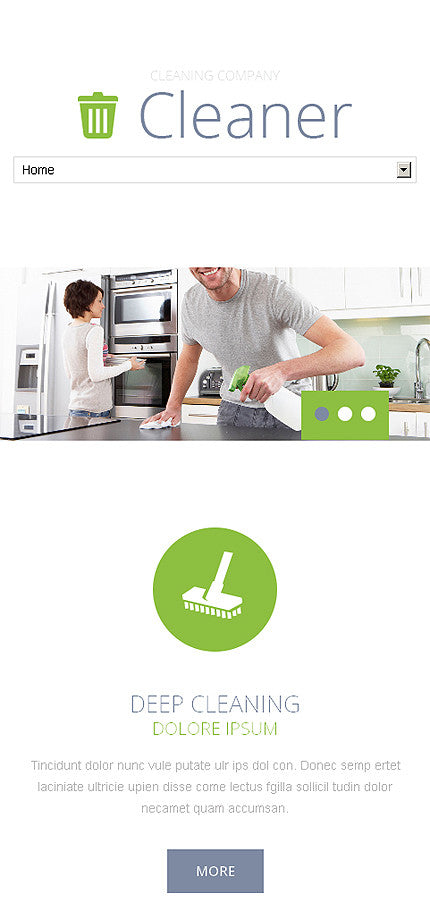 WordPress Themes - GoWebBaby.Com