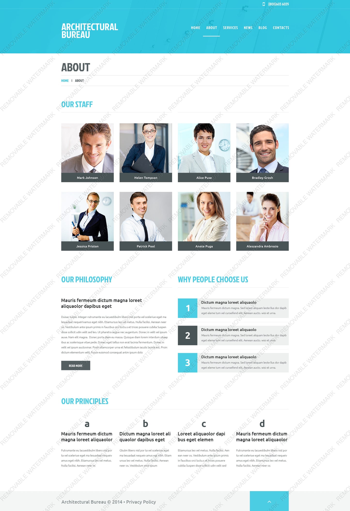 WordPress Themes - GoWebBaby.Com
