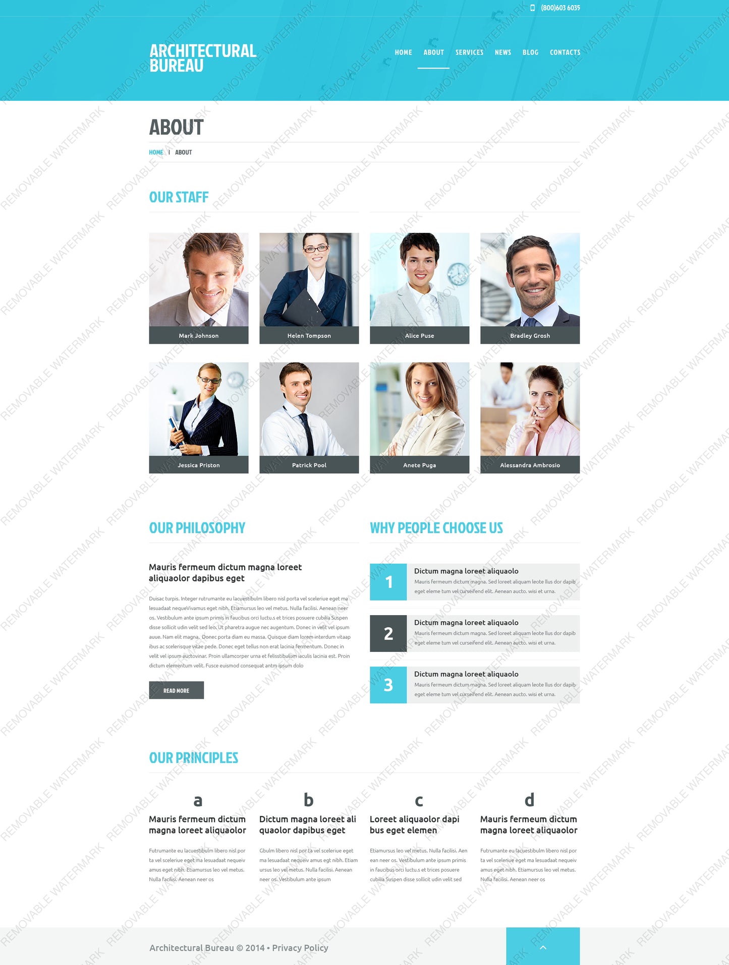 WordPress Themes - GoWebBaby.Com