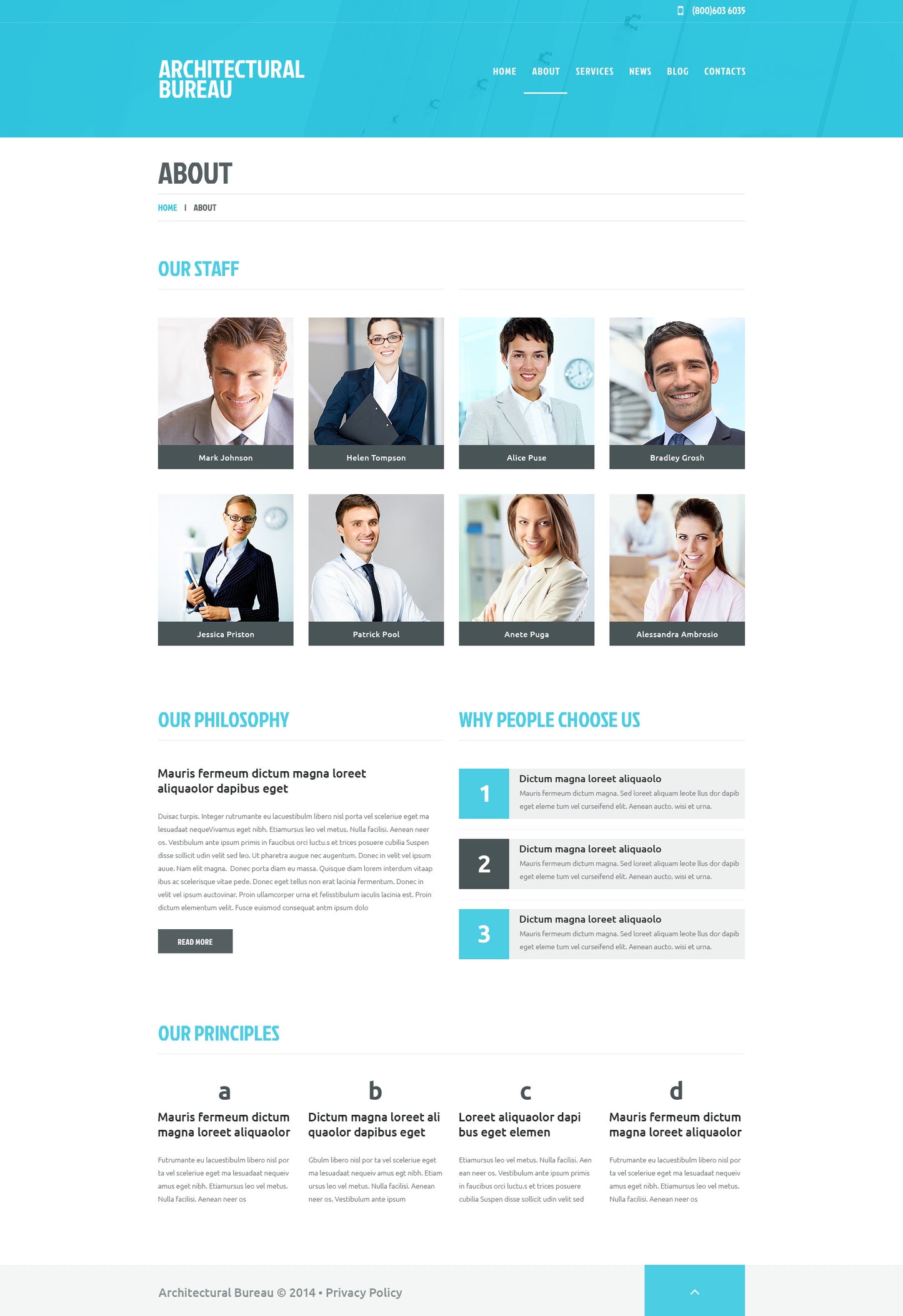 WordPress Themes - GoWebBaby.Com