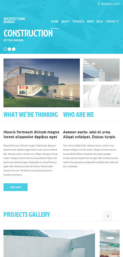 WordPress Themes - GoWebBaby.Com