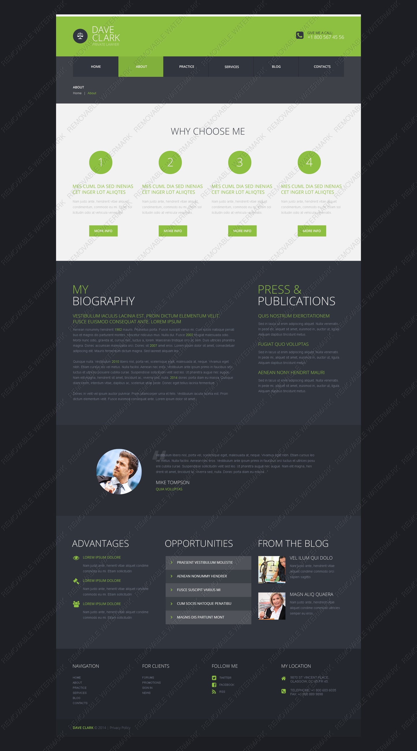 WordPress Themes - GoWebBaby.Com