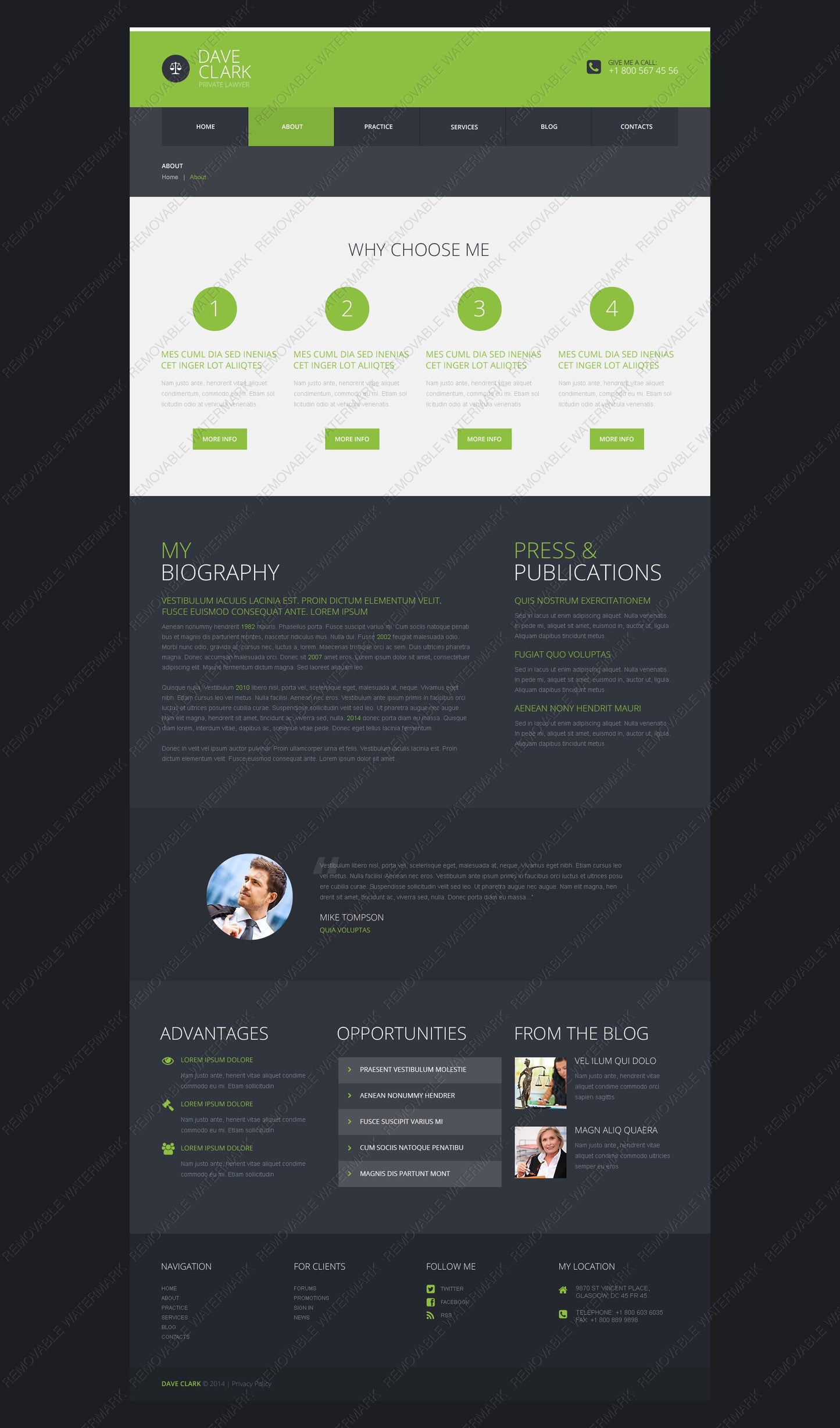 WordPress Themes - GoWebBaby.Com