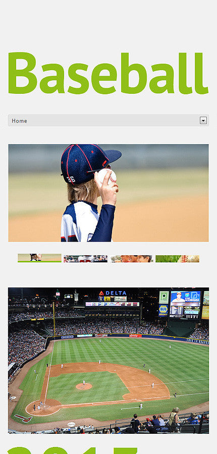WordPress Themes - GoWebBaby.Com