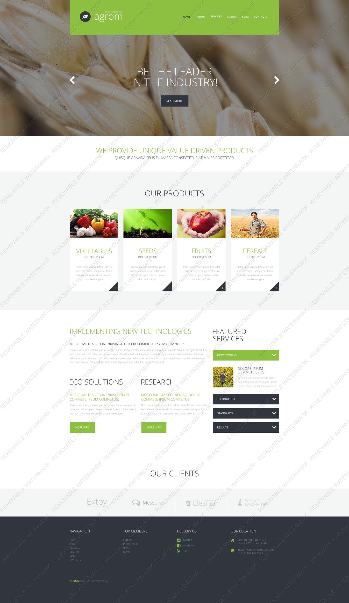 WordPress Themes - GoWebBaby.Com